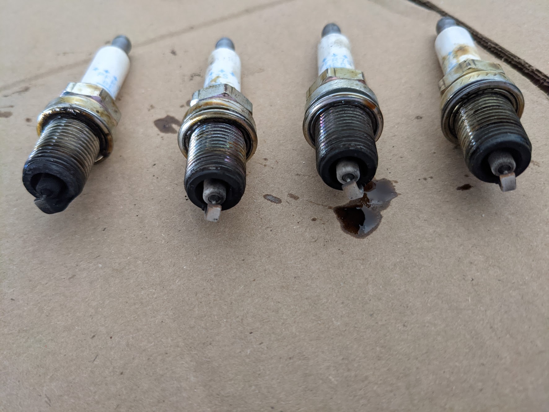 spark plugs.jpg