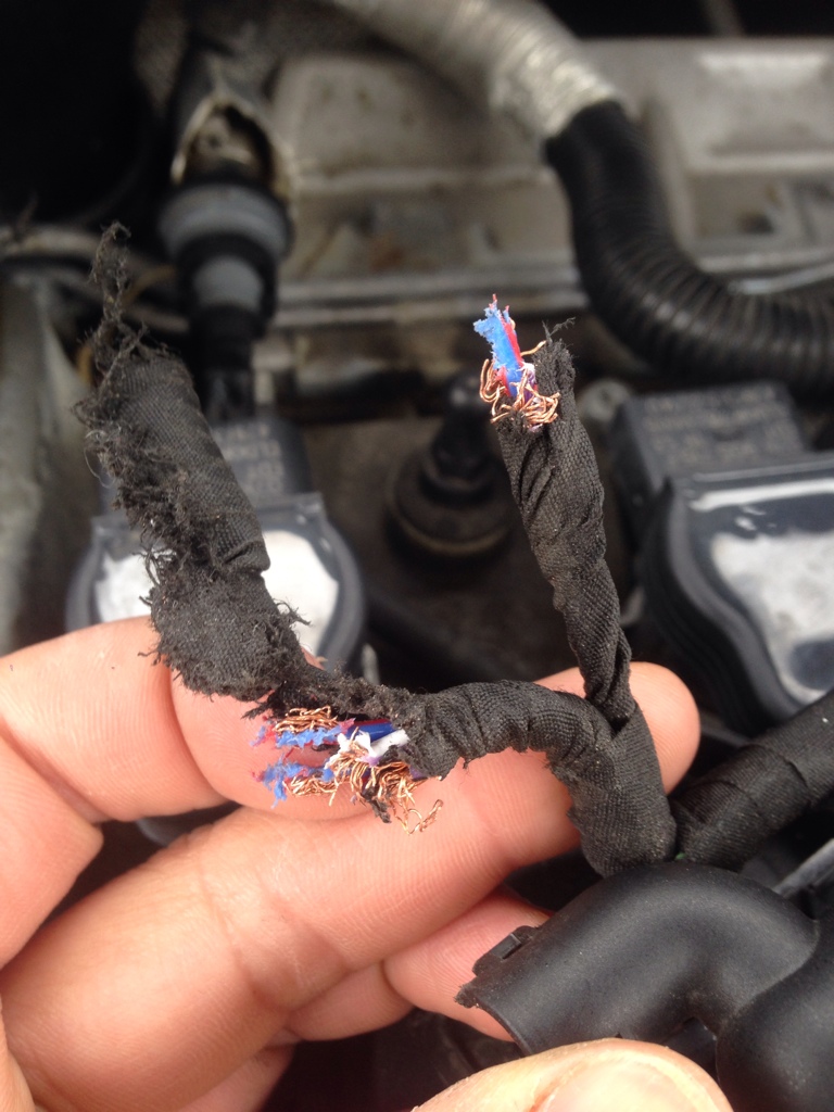 Anyone have a wiring diagram for this? VW GTI MKVI
